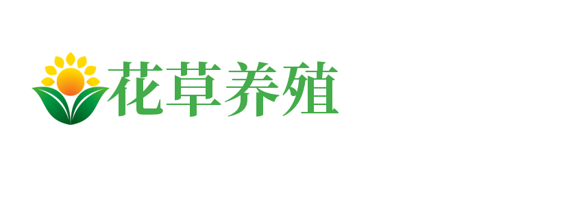 广西壮族自治区百色市靖西市花理服饰股份公司,攀枝花广西壮族自治区百色市靖西市花理服饰股份公司